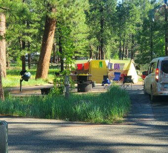 yellow tent with rainbow colored boxers hanging on a clothes line in front of it.